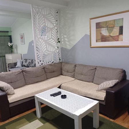 Apartment Vila Jezero Zlatibor Esterno foto